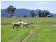 Conondale QLD 4552