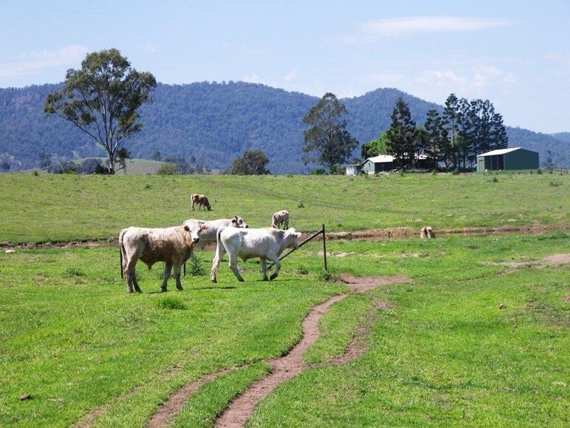 Conondale QLD 4552