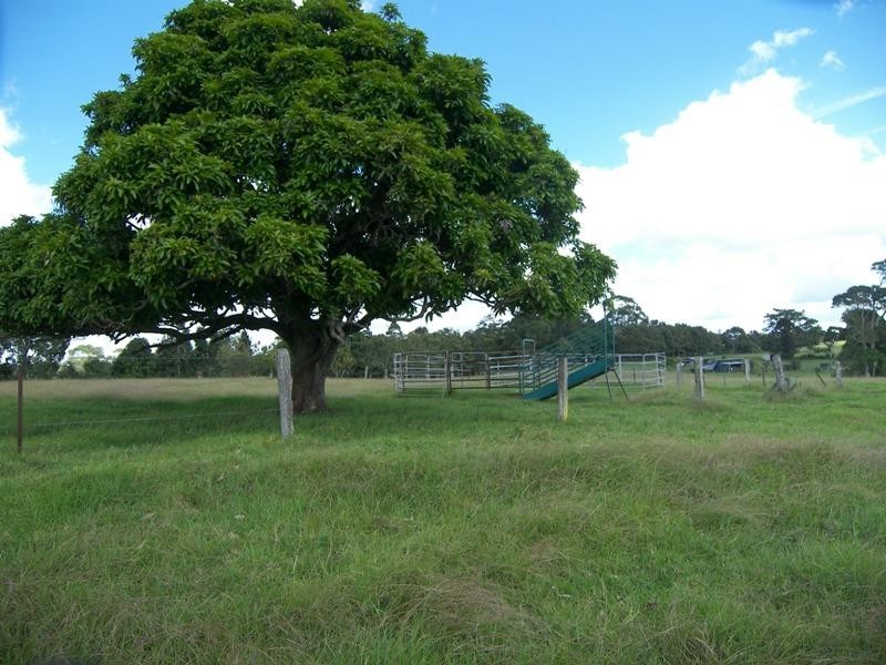 Witta QLD 4552