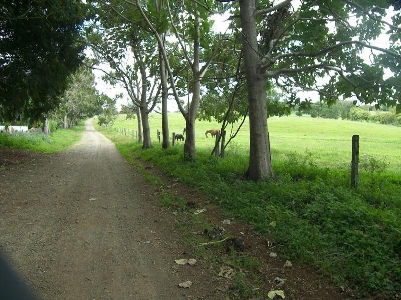 Witta QLD 4552