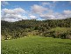 Maleny QLD 4552