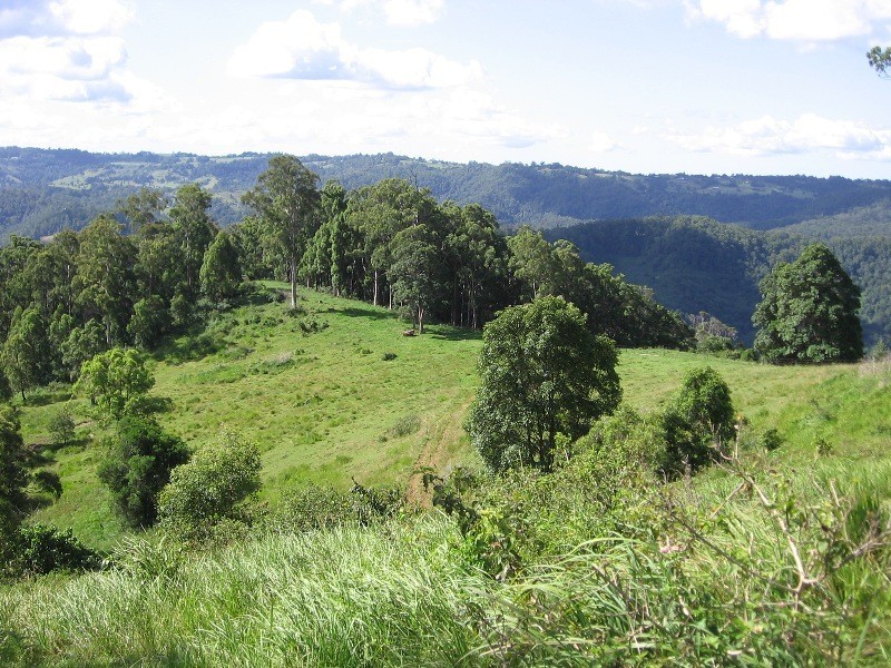 Maleny QLD 4552