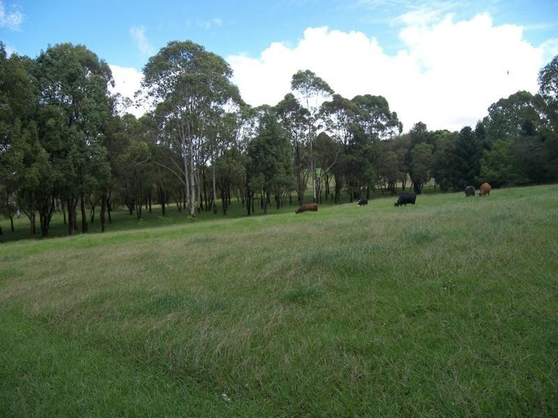 72 Cooke Road, Witta QLD 4552