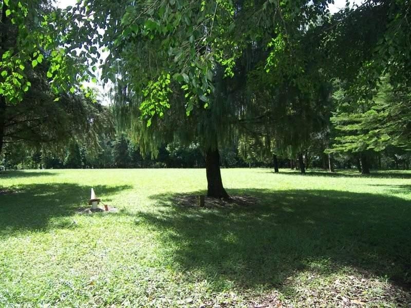 72 Cooke Road, Witta QLD 4552