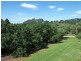 Flaxton QLD 4560