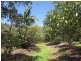 Flaxton QLD 4560