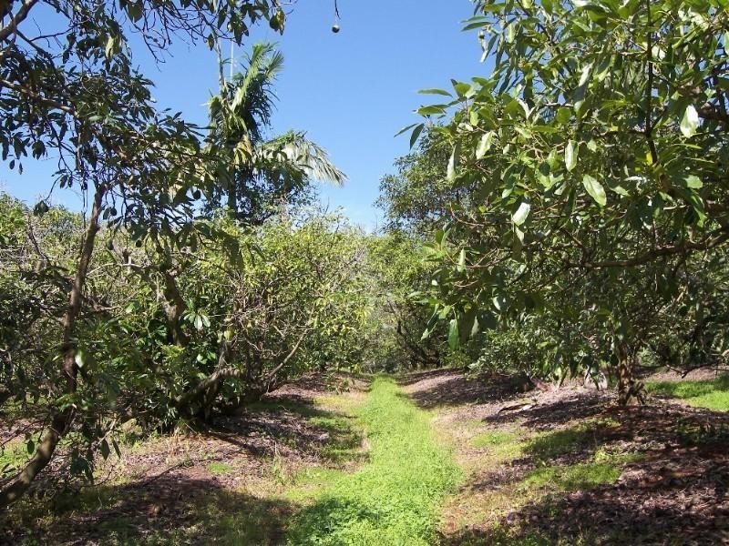 Flaxton QLD 4560