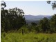 Conondale QLD 4552