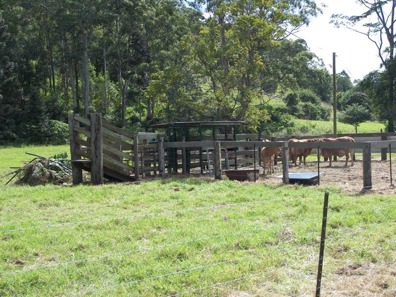 Conondale QLD 4552