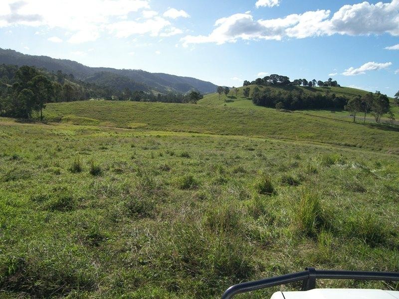 Conondale QLD 4552