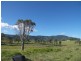 Conondale QLD 4552