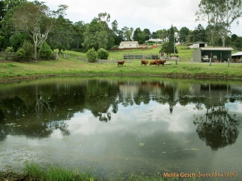 Maleny QLD 4552