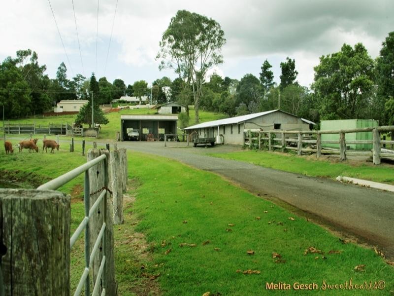 Maleny QLD 4552