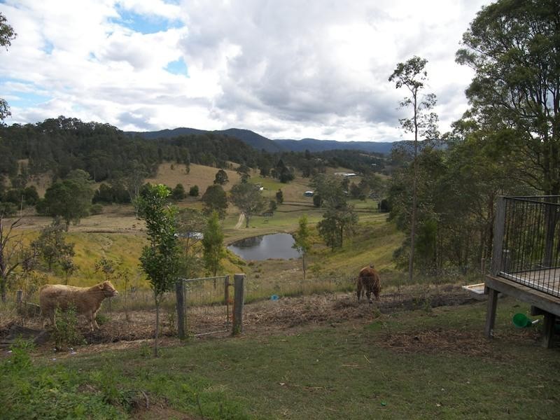 Conondale QLD 4552