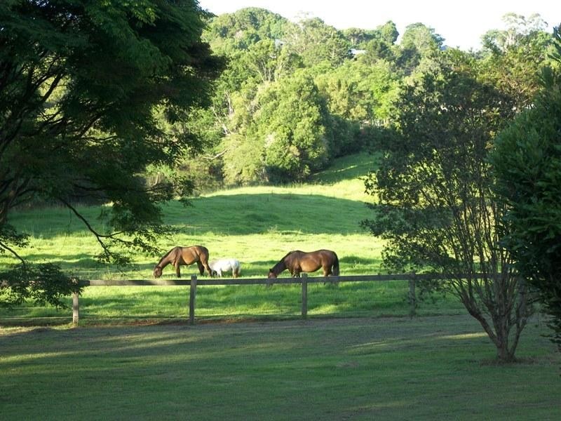 Maleny QLD 4552