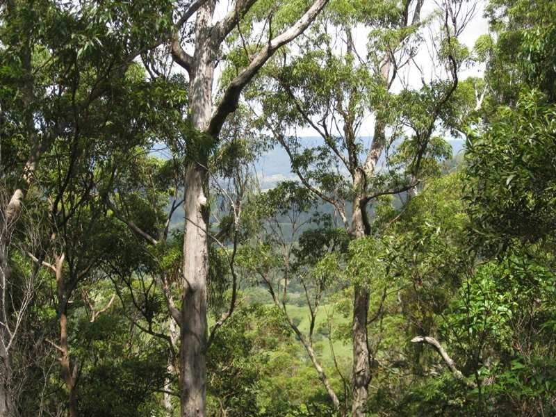 Curramore QLD 4552