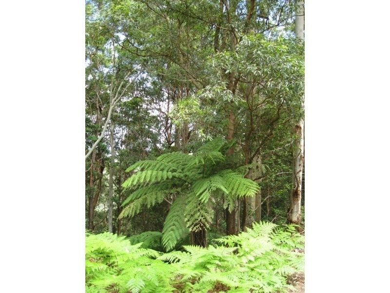 Curramore QLD 4552