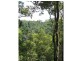 Curramore QLD 4552