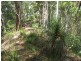 Curramore QLD 4552