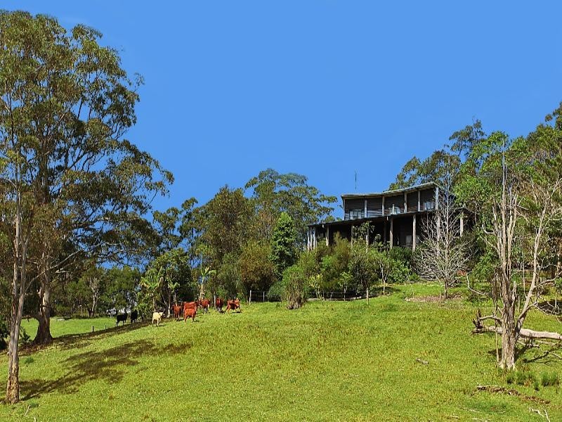 Maleny QLD 4552