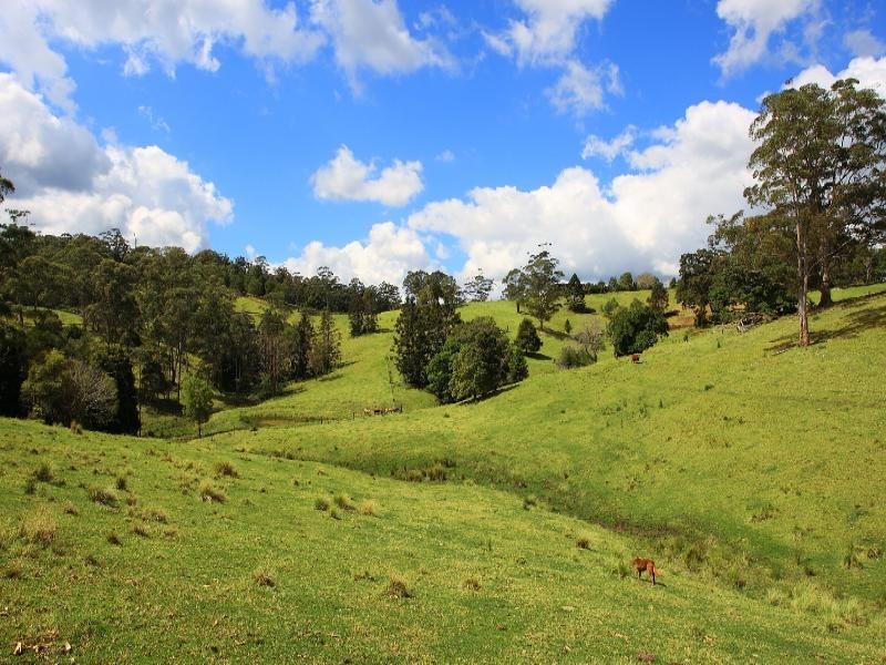 Maleny QLD 4552