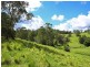 Maleny QLD 4552