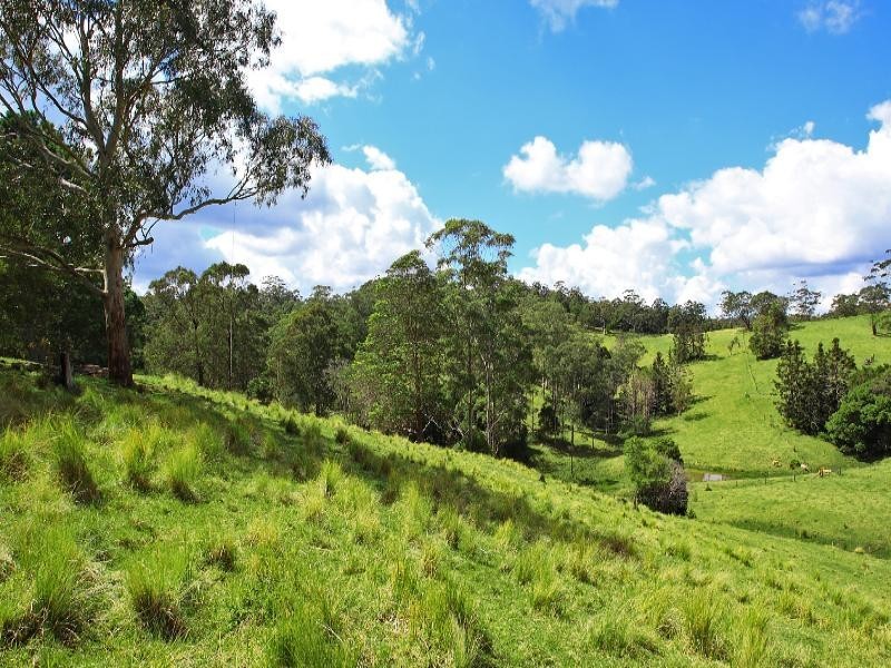 Maleny QLD 4552