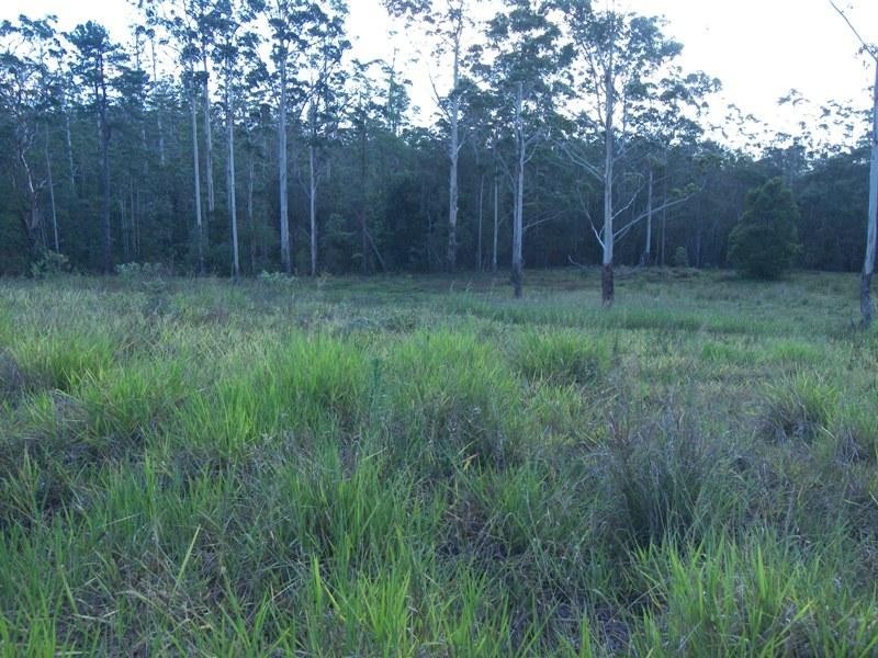 Crohamhurst QLD 4519