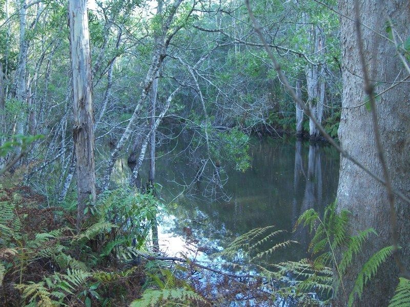 Crohamhurst QLD 4519