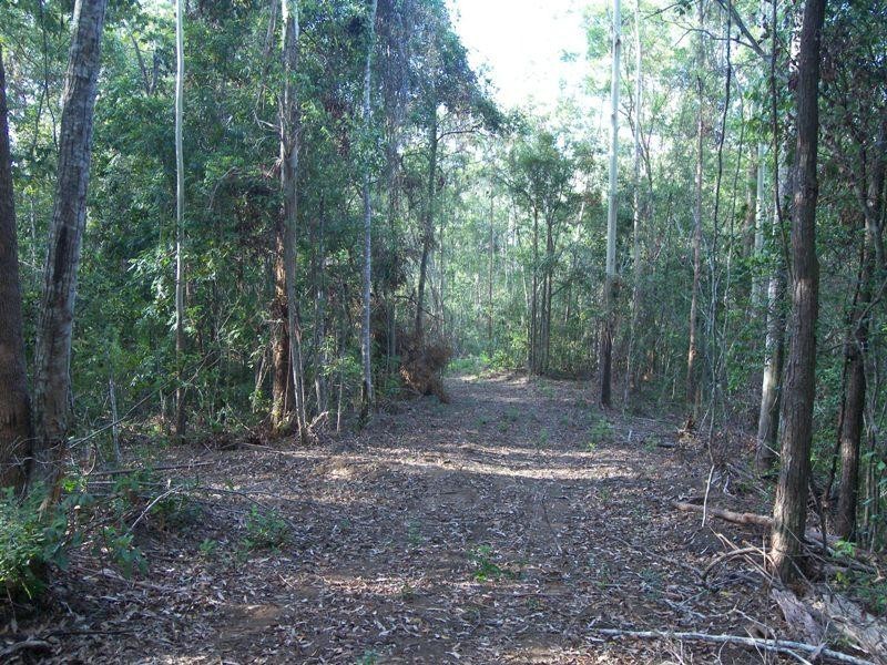 Crohamhurst QLD 4519