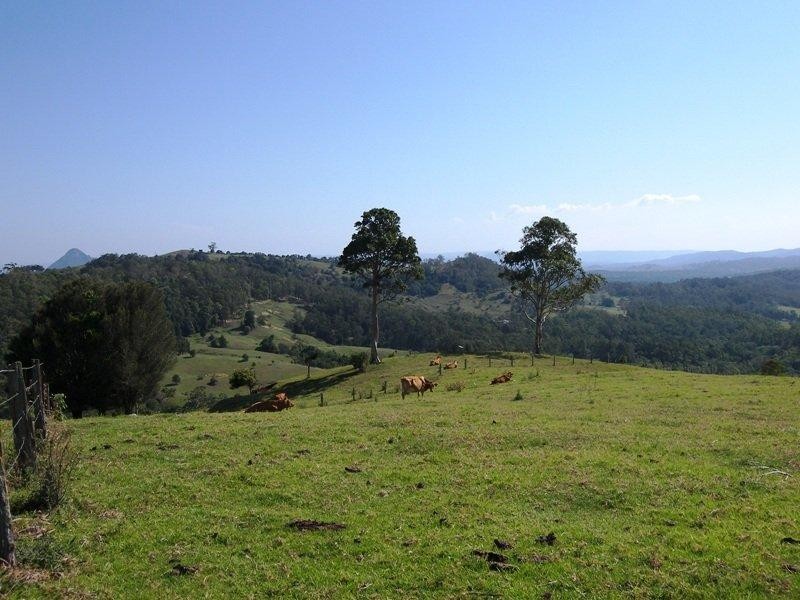 651 Landsborough-Maleny Road, Bald Knob QLD 4552