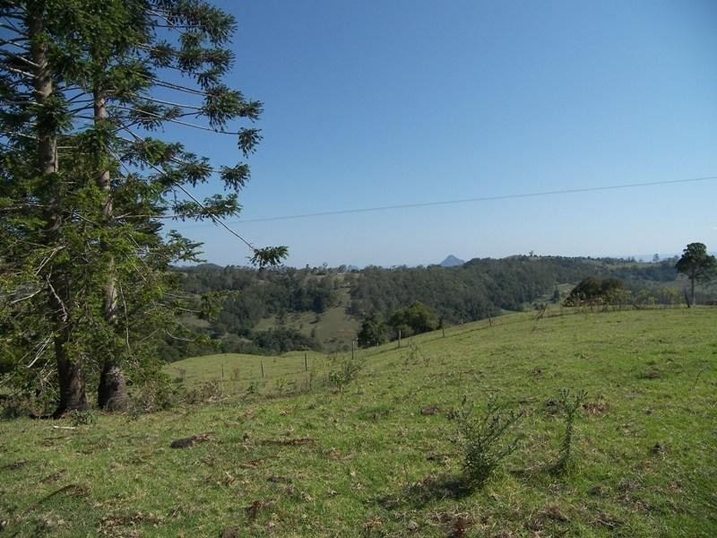 651 Landsborough-Maleny Road, Bald Knob QLD 4552