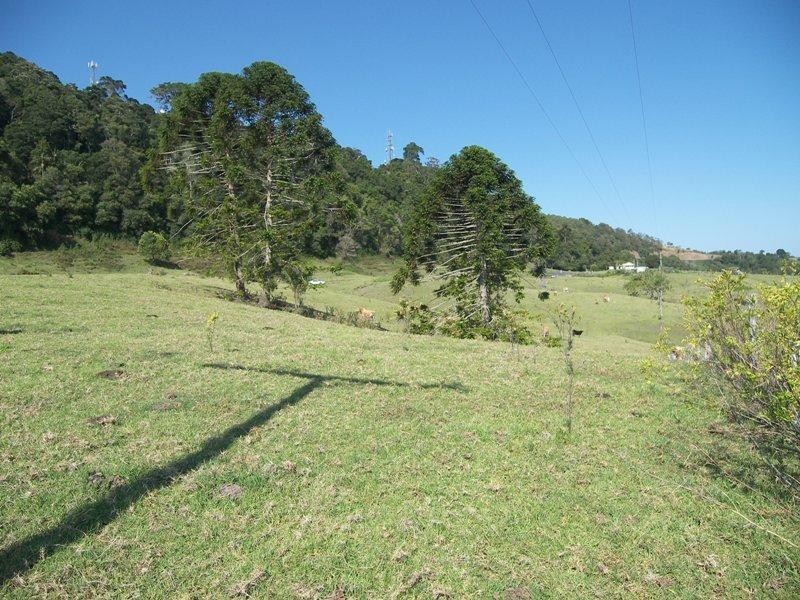 651 Landsborough-Maleny Road, Bald Knob QLD 4552