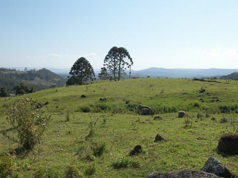 651 Landsborough-Maleny Road, Bald Knob QLD 4552