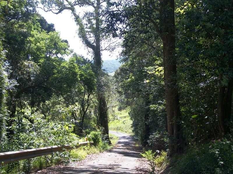 651 Landsborough-Maleny Road, Bald Knob QLD 4552