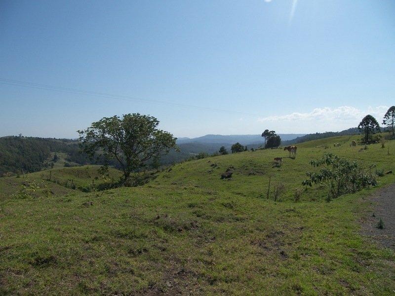 651 Landsborough-Maleny Road, Bald Knob QLD 4552
