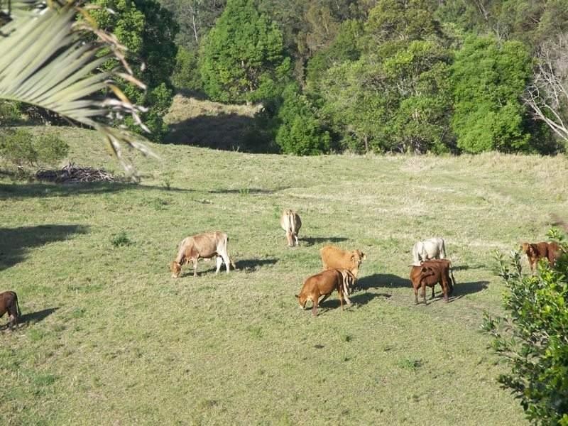 18 Eden Road, Maleny QLD 4552
