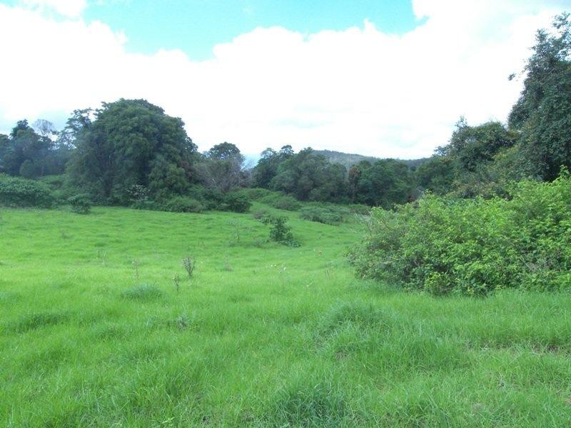 Lot 11 Bellthorpe Range Road, Bellthorpe QLD 4514