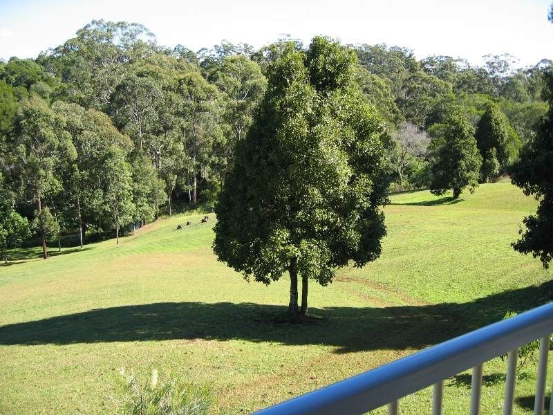 64 Johnson Road, Mapleton QLD 4560