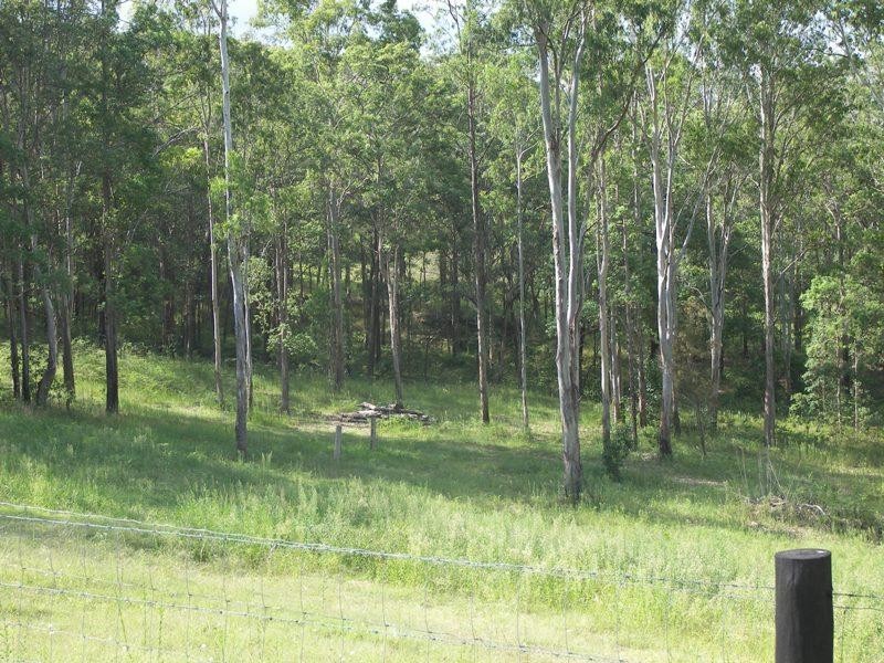 Conondale QLD 4552
