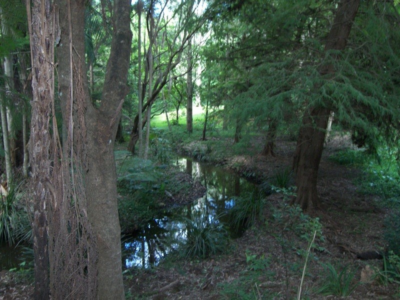 Witta QLD 4552
