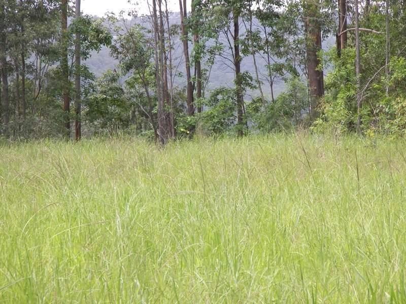 Booroobin QLD 4552