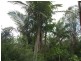 Booroobin QLD 4552