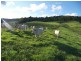 Bald Knob QLD 4552
