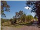 Curramore QLD 4552