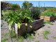 Curramore QLD 4552