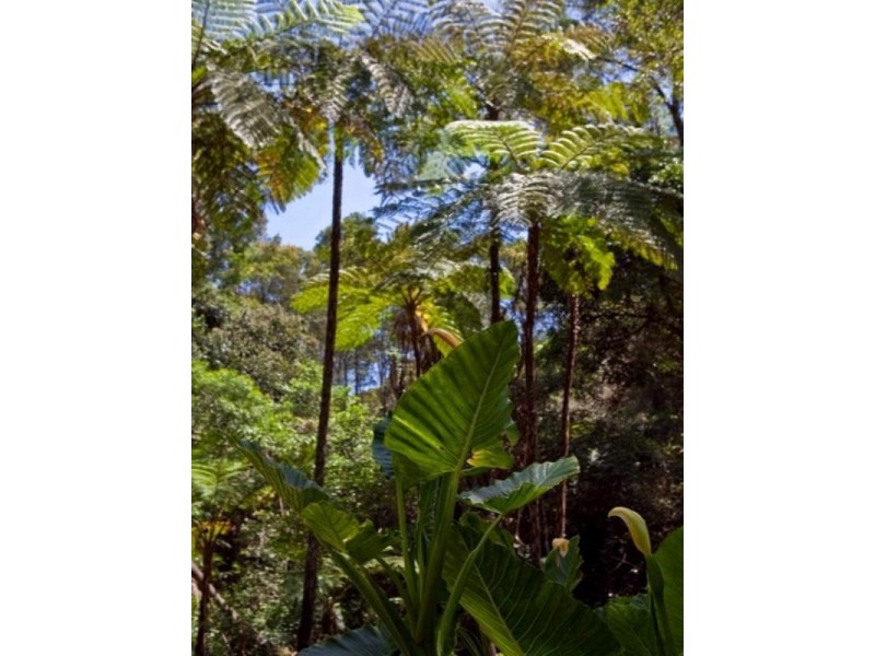 Curramore QLD 4552