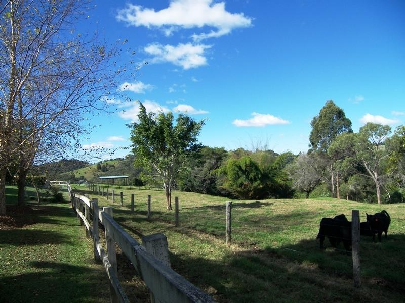 Maleny QLD 4552