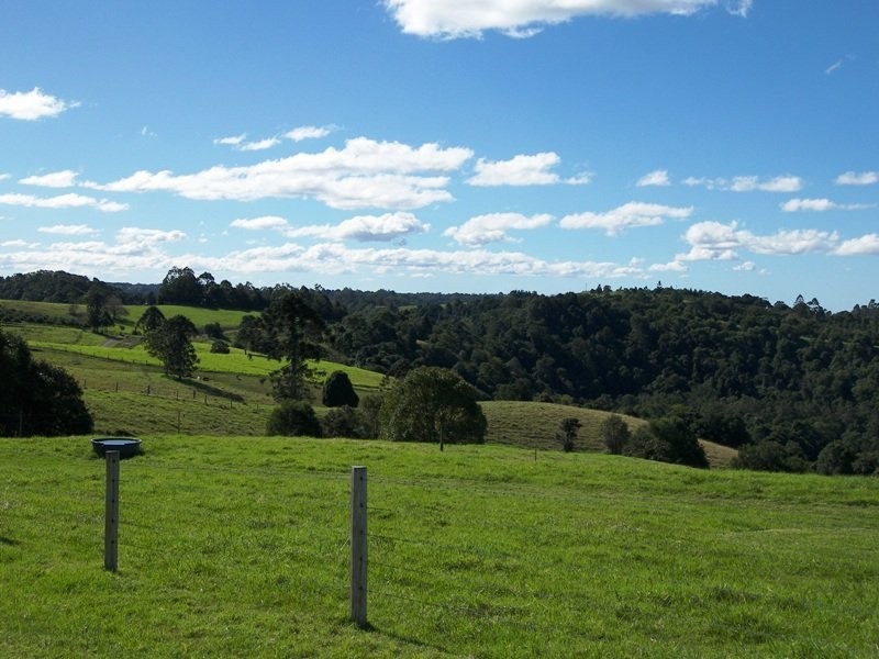 Maleny QLD 4552