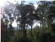 Bellthorpe QLD 4514